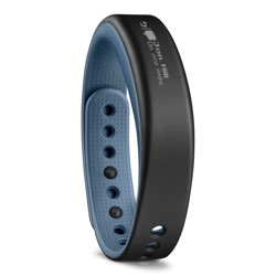 Garmin Vivosmart